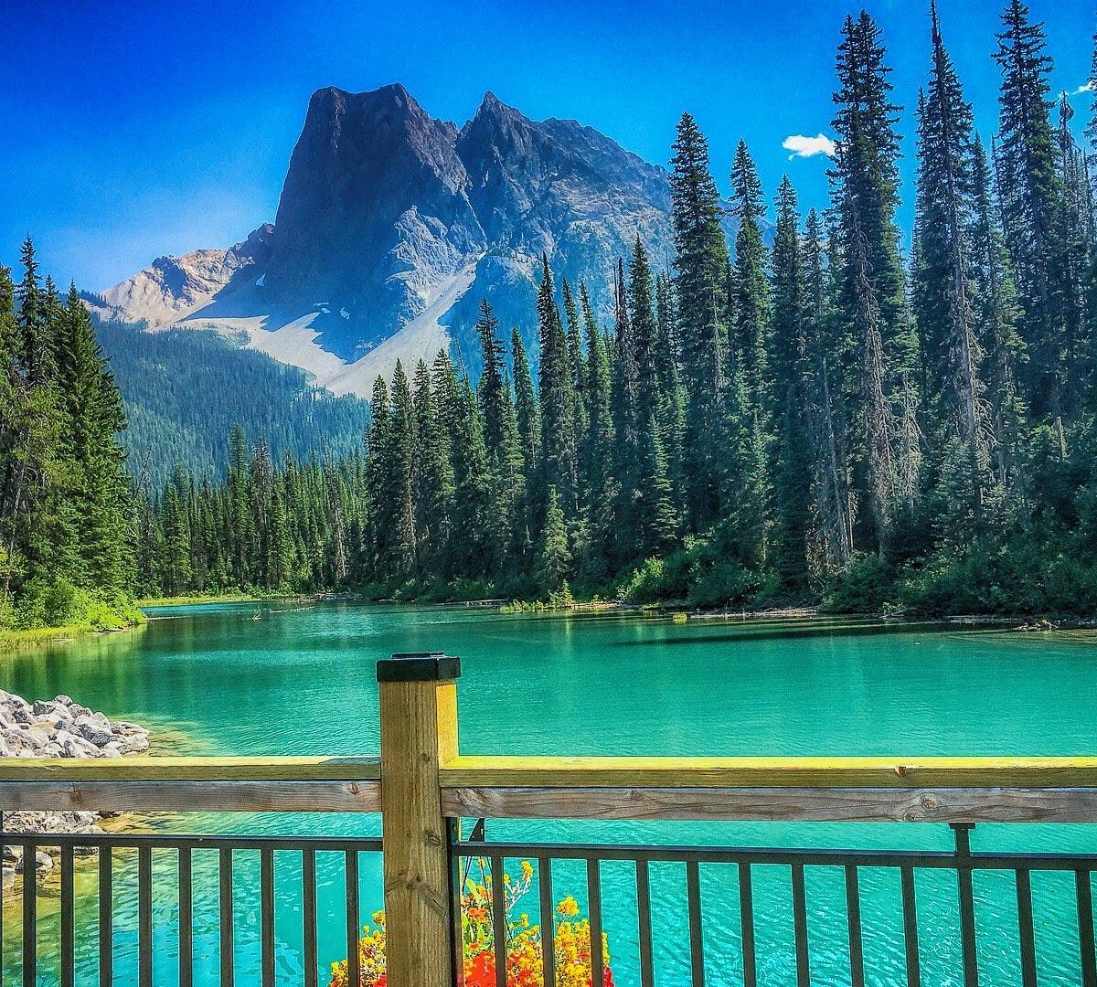 Emerald Lake - All You SHOULD Know Before Going 2026 (with Reviews)