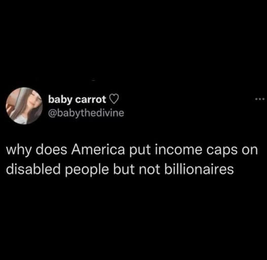 [Image Description: baby carrot @babythedivine says

why does America put income caps on disabled people but not billionaires. End ID].