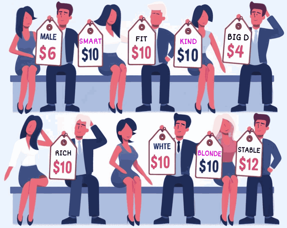 a visual representation and metaphor of sexual market value
