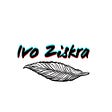 Ivo Ziskra's avatar