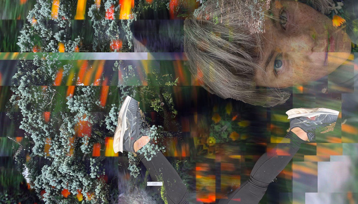 A collage with the author's face, legs, a tree, and various colors meant to express internal motivation and its blur. A collage with the author's face, legs, a tree, and various colors meant to express internal motivation and its blur.