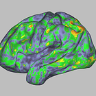 Psychedelic medicine as the new frontier in mental health care? 