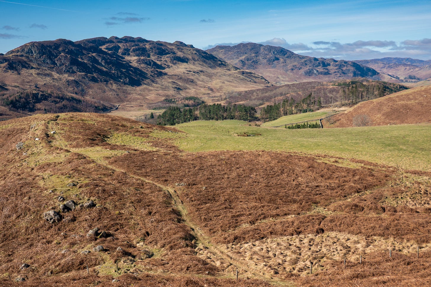 Looking along the route of the proposed access road for Glen Lednock Wind Farm – it would pass through the gap in the line of conifers and continue to the turbines, which would be fill the righthand half of the skyline © Felicity Martin Looking along the route of the proposed access road for Glen Lednock Wind Farm – it would pass through the gap in the line of conifers and continue to the turbines, which would be fill the righthand half of the skyline © Felicity Martin