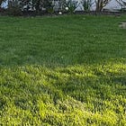 Am I doing this right?