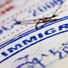 Poll: non-white Canadians more critical of mass migration than white Canadians