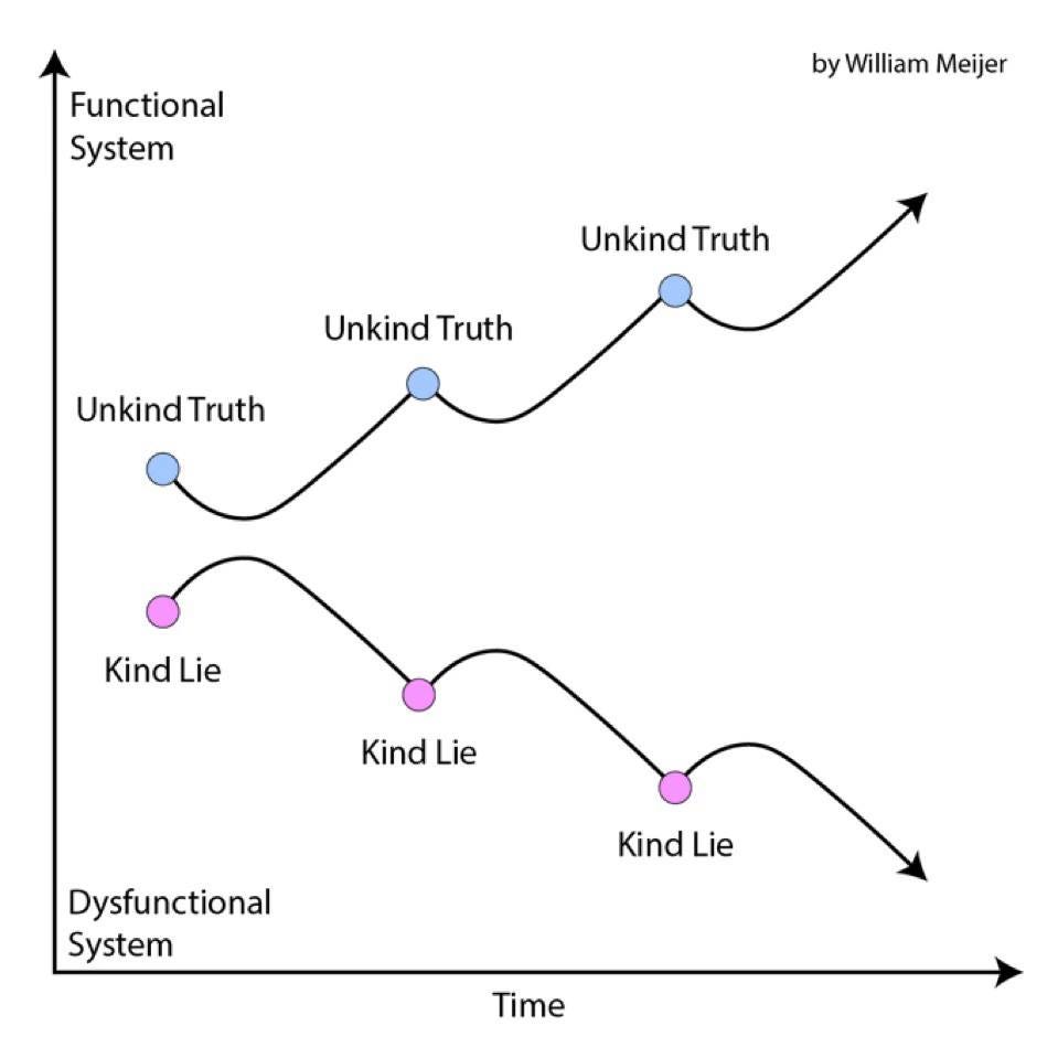 May be a graphic of text that says "Functional System by William byWilliamMeije Meijer Unkind UnkindTruth Truth Unkind Truth Unkind UnkindTruth Truth Kind Lie Kind KindLie Lie Dysfunctional System Kind Lie Time"