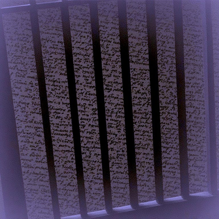 Purple-skewed graphic of prison bars with impressionistic words behind them.