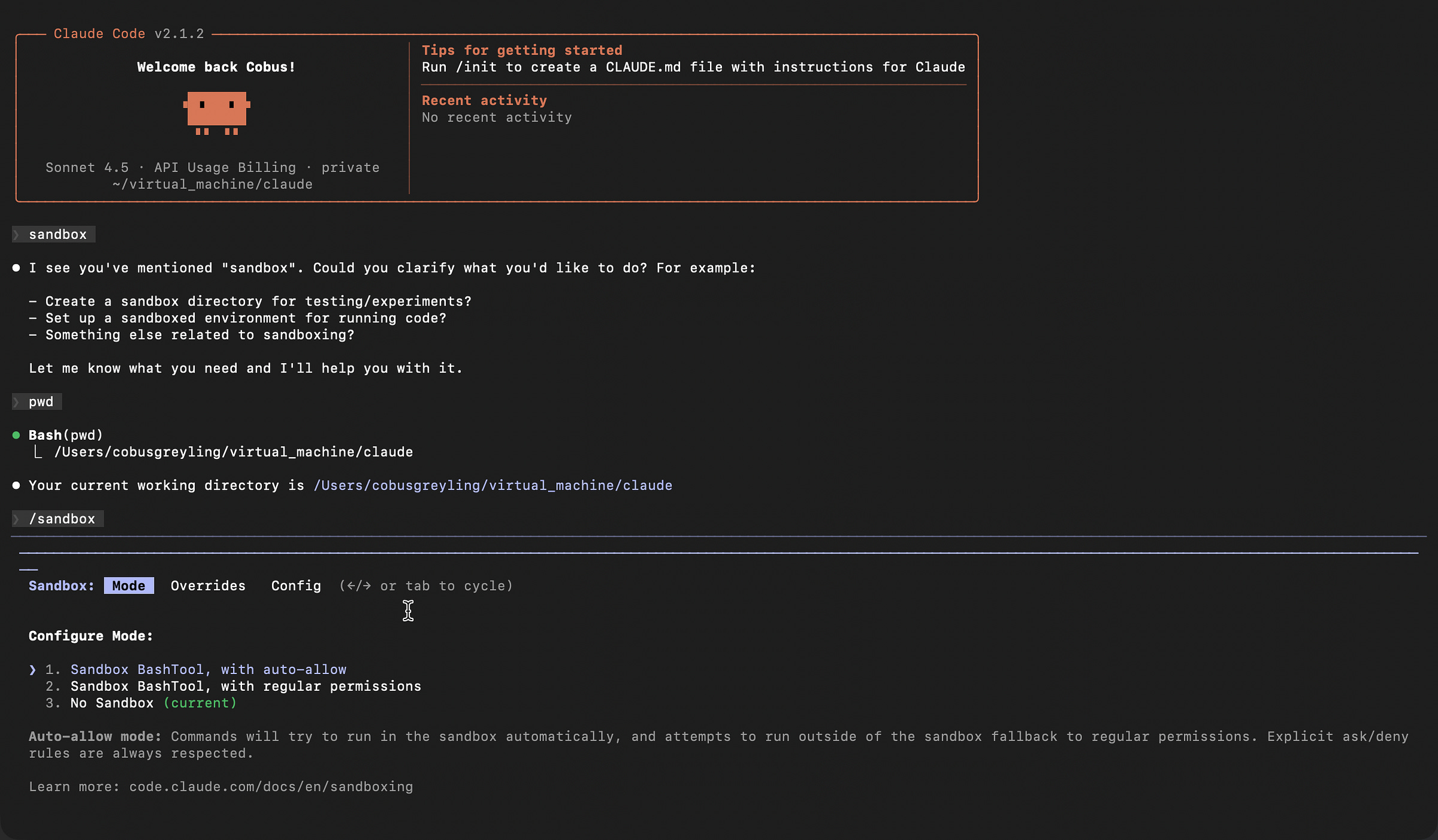 Claude Code Sandbox Options