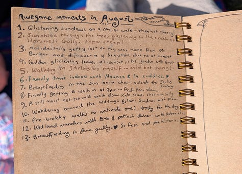 Visual Journal