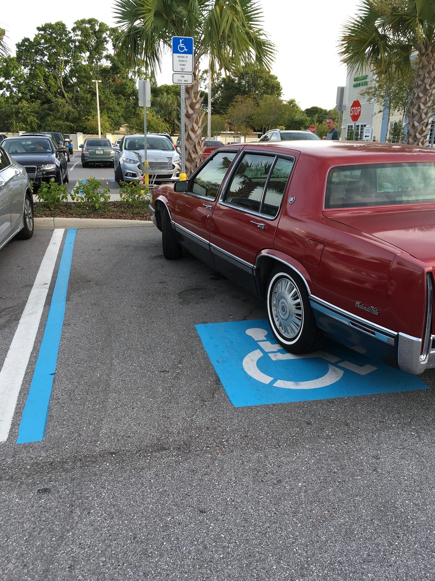 A 1991 Cadillac is pictured parked in a Publix handicapped parking spot at a diagonal, clearly taking up more than one spot
