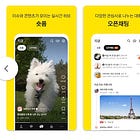 [서울 숲에서] 국민 메신저의 실험, 카카오톡이 놓친 사용자 심리