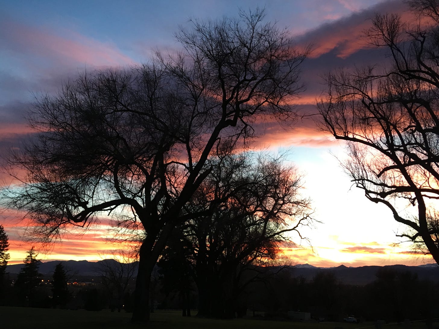 silhouettes of trees without leaves and a sunset in the background