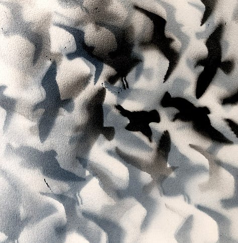 Shapes of gulls, ethereal, in indigos and greys, with layers and shadows.