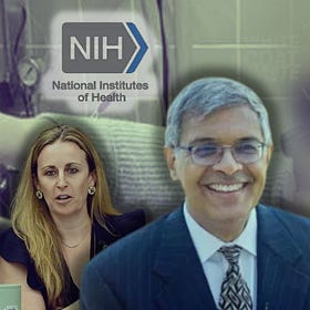 NIH Betrays Promise to End Fauci-Era Animal Cruelty by Renewing Horrific Kitten Heart Failure Experiments, Slaughtering Dozens More Innocent Kittens with YOUR Tax Dollars