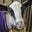 Christine Finlayson's avatar