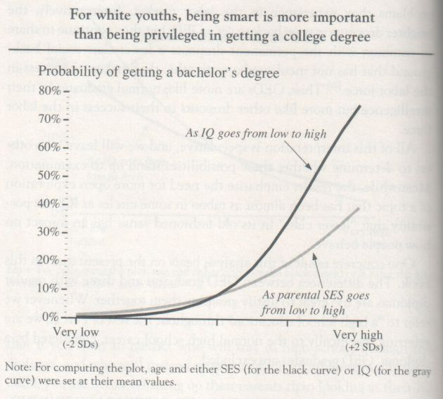 the-bell-curve-1994-herrnstein-and-murray-graph-p-152