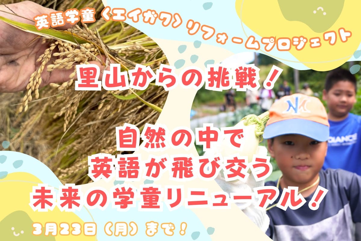 1番目のメイン画像 1番目のメイン画像