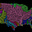 Leafgreen's avatar