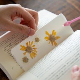What Is Washi? Discovering Handmade Japanese Paper in Yame