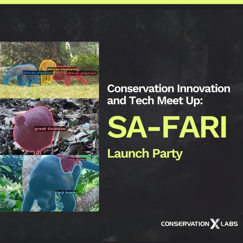 Cover Image for Conservation Innovation and Tech Meet Up: SA-FARI Launch Party Cover Image for Conservation Innovation and Tech Meet Up: SA-FARI Launch Party