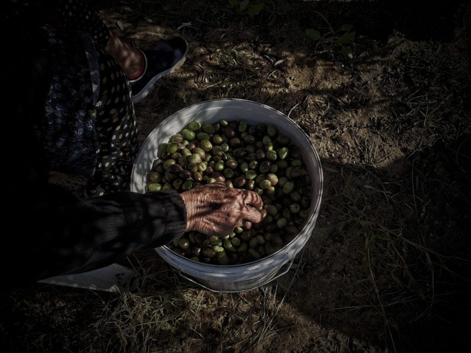 Majd Arandas (1994–2023), ‘My Grandmother’, 2022. Majd Arandas (1994–2023), ‘My Grandmother’, 2022.