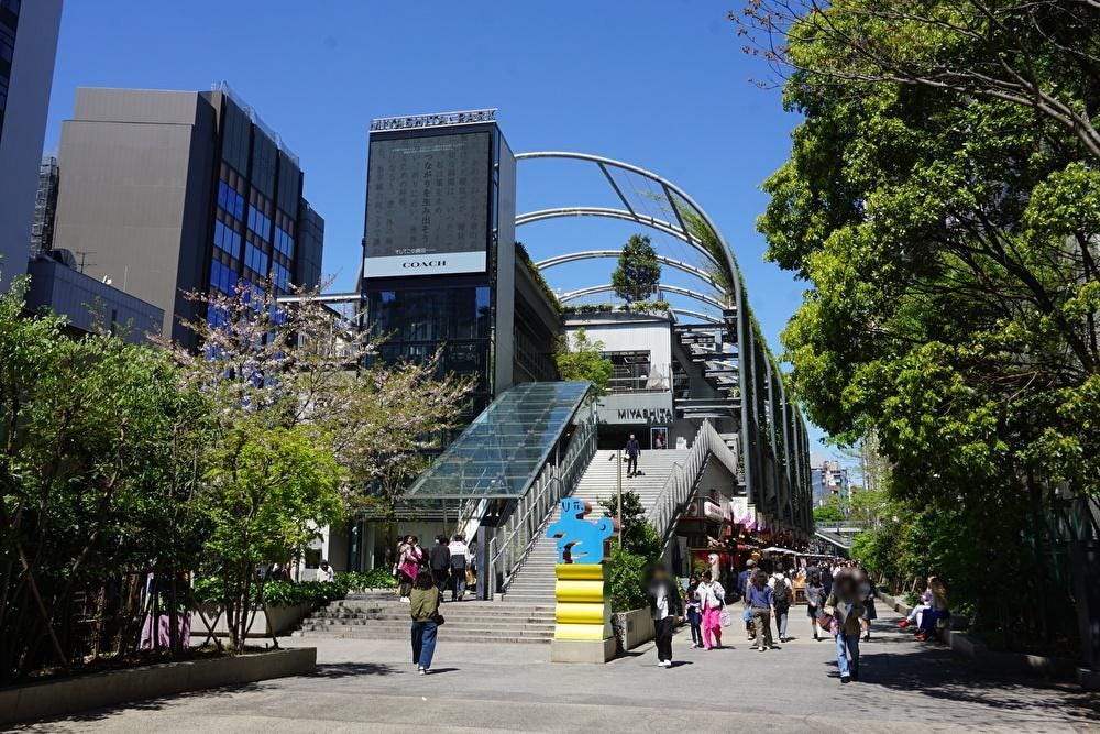 image-1775722173189.jpeg (1000×667)