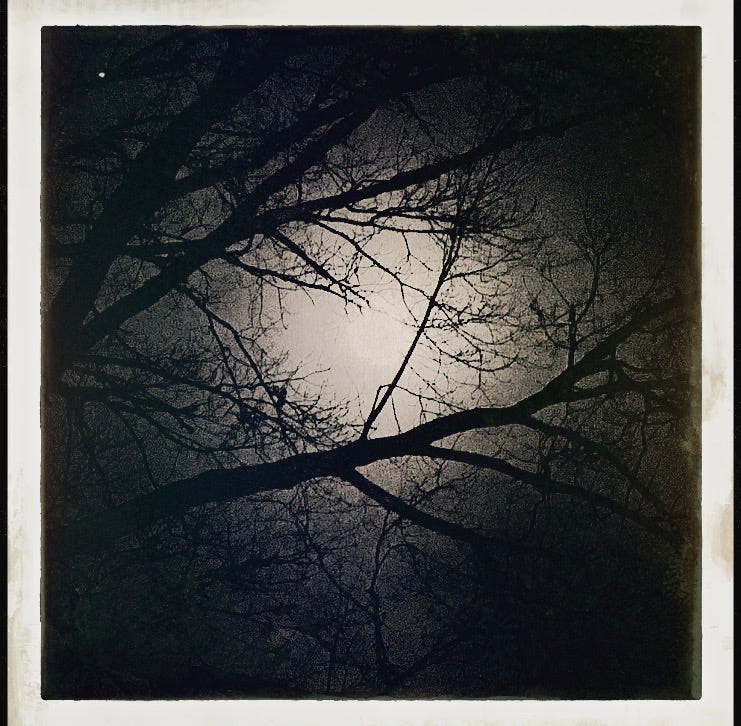 picture of the moon