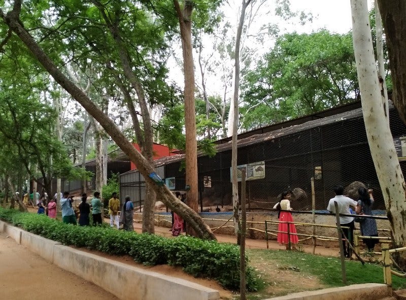 Horsley Hills Zoo, Horsley Hills - Timings, Entry Fee, Safari Cost, Safari  Booking, Best Time to Visit