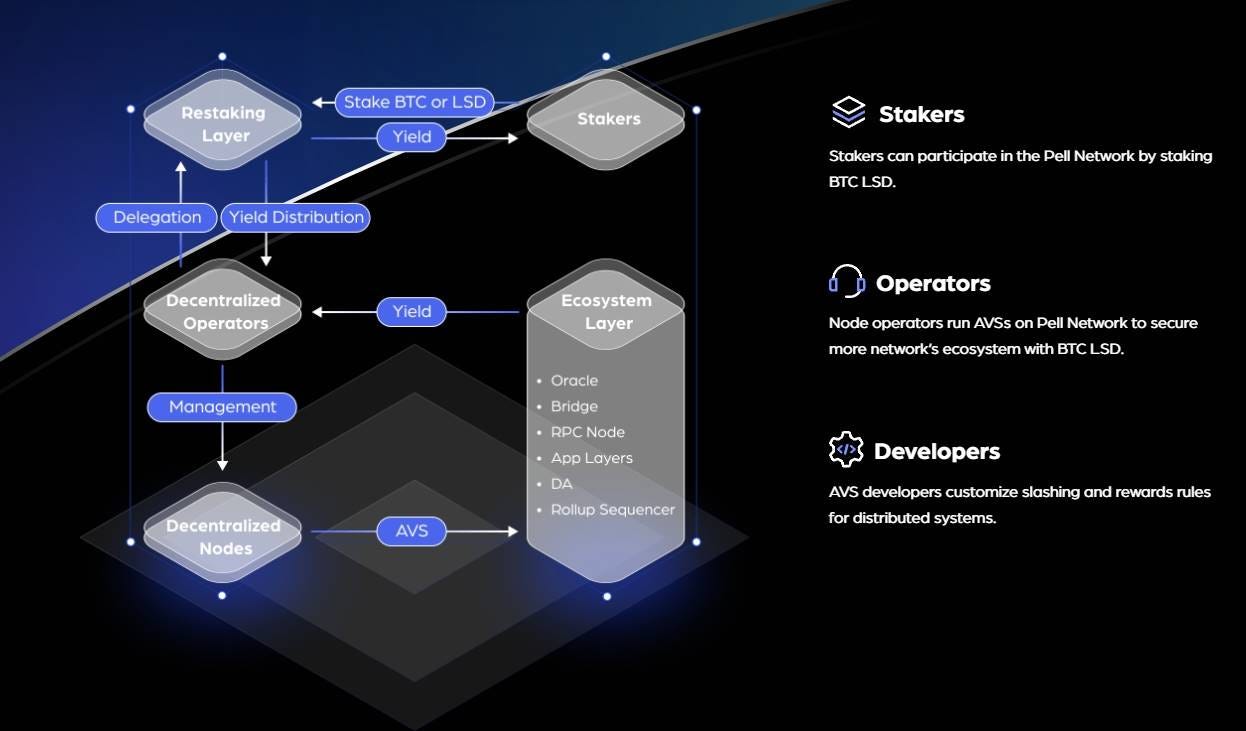 TVL 突破2 亿美元：基于比特币再质押构建AVS 网络，Pell Network 如何释放BTCFi 万亿市场？