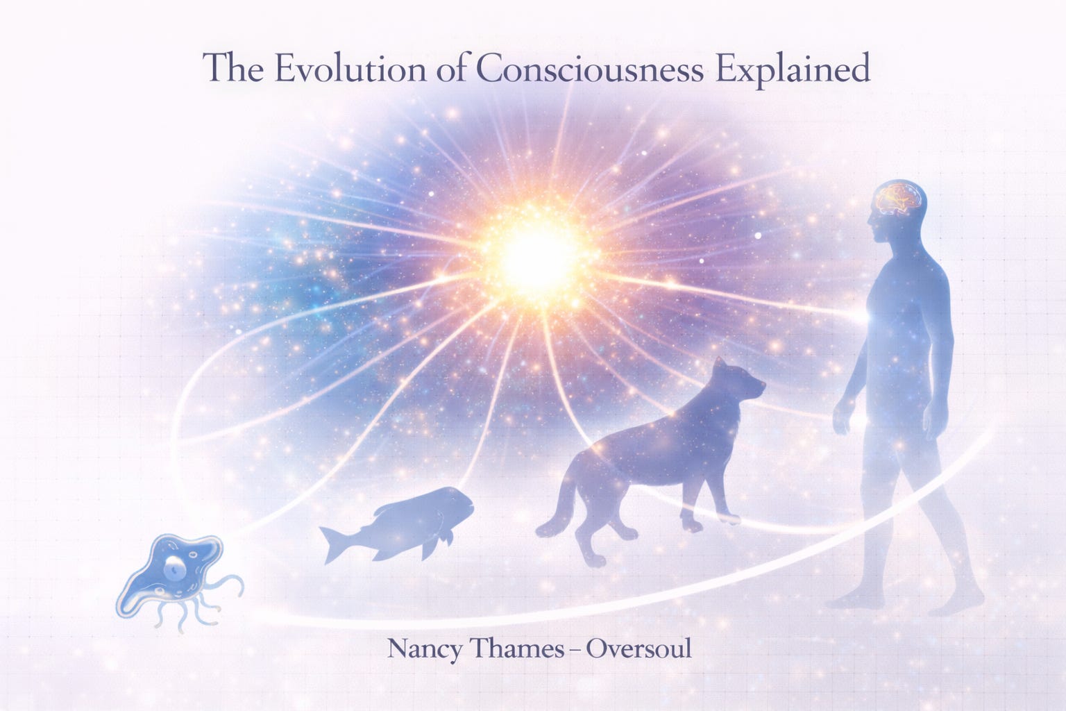 The Evolution of Consciousness Explained - Nancy Thames