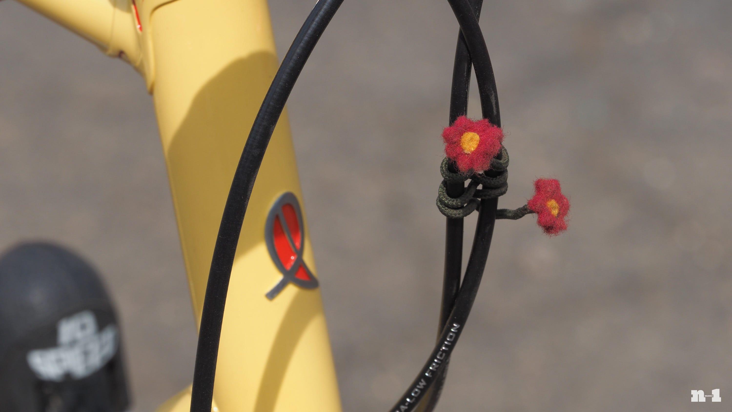 Marco Pedretti yellow road bike wool rose