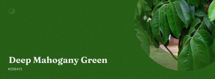 A color swatch banner displaying Deep Mahogany Green with hex code #256413, featuring mahogany plant leaves.