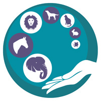 Joanne Yeoh Animal Communication Insights 