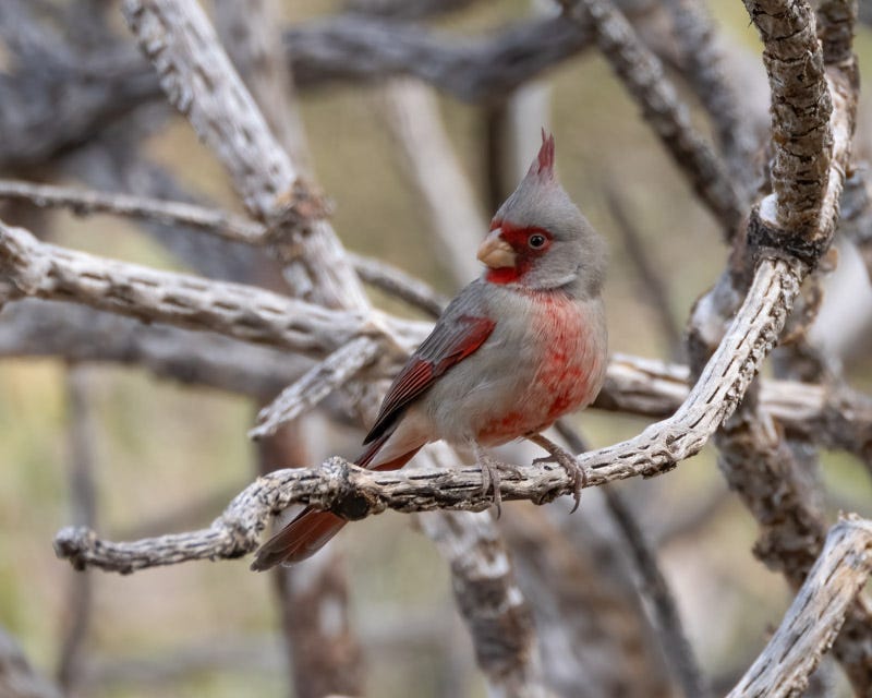 20250127-MBY-2-Edit.jpg 20250127-MBY-2-Edit.jpg