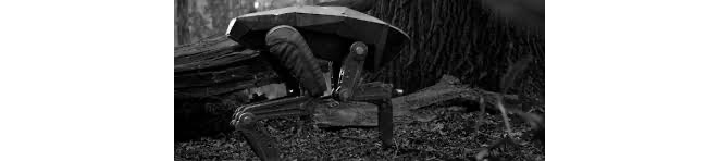 image 4.png image 4.png