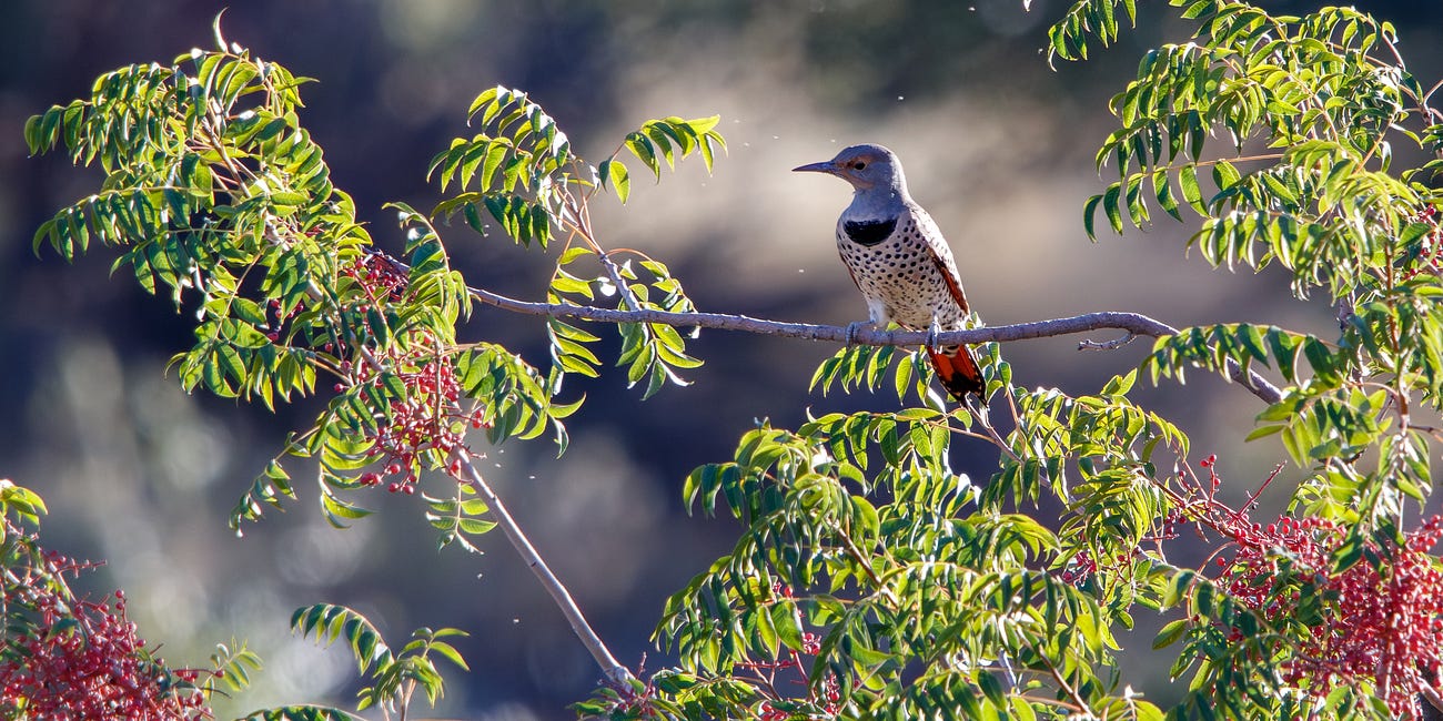 Every Hike Doesn't Need An Elaborate Plan
