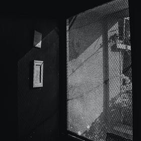 The Visitors