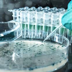 biotech penny stocks to buy