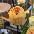 Decoding DNA: True Positioning & Messaging Wins