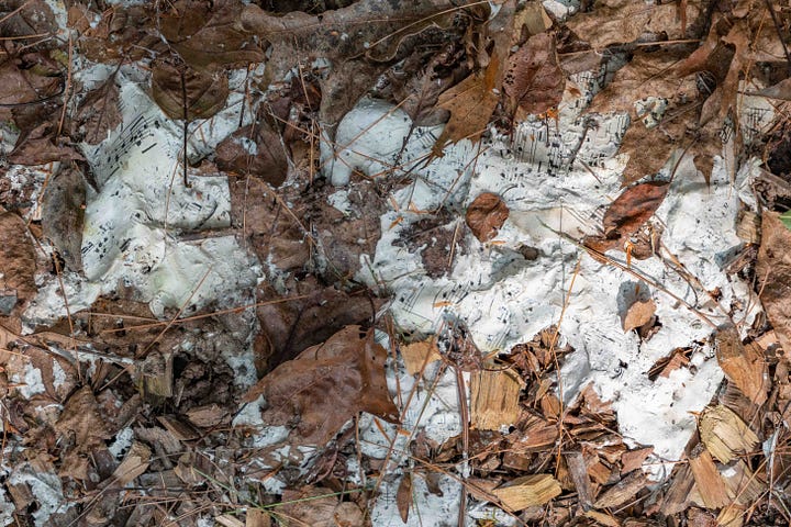 paper, decomposing paper, musical score, notes on a page, compost