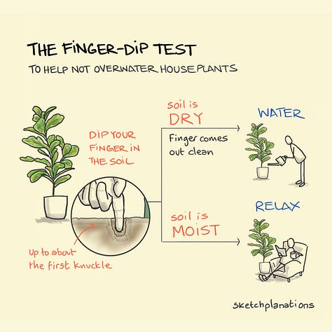 Selection of illustrated lifehacks