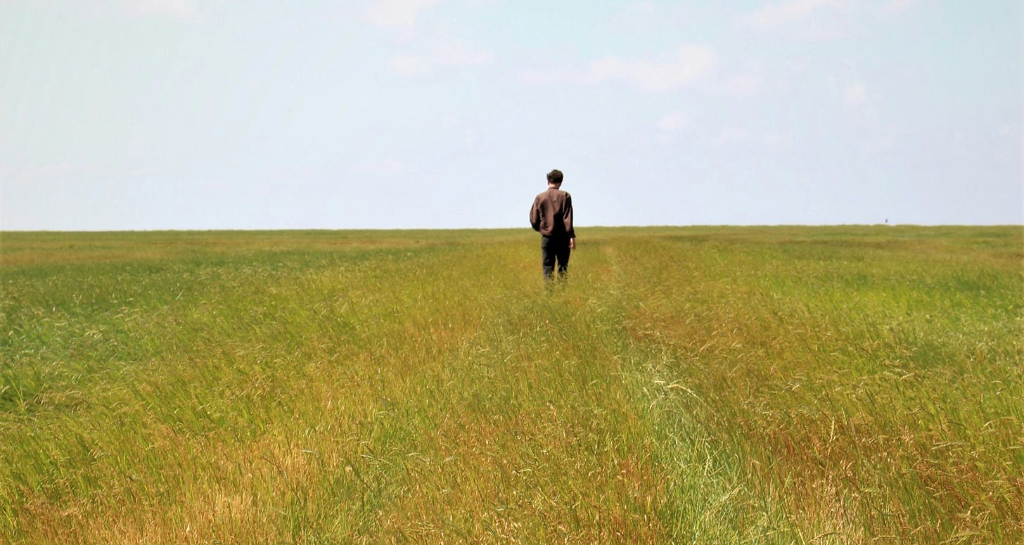 person standing on grass field during daytime
