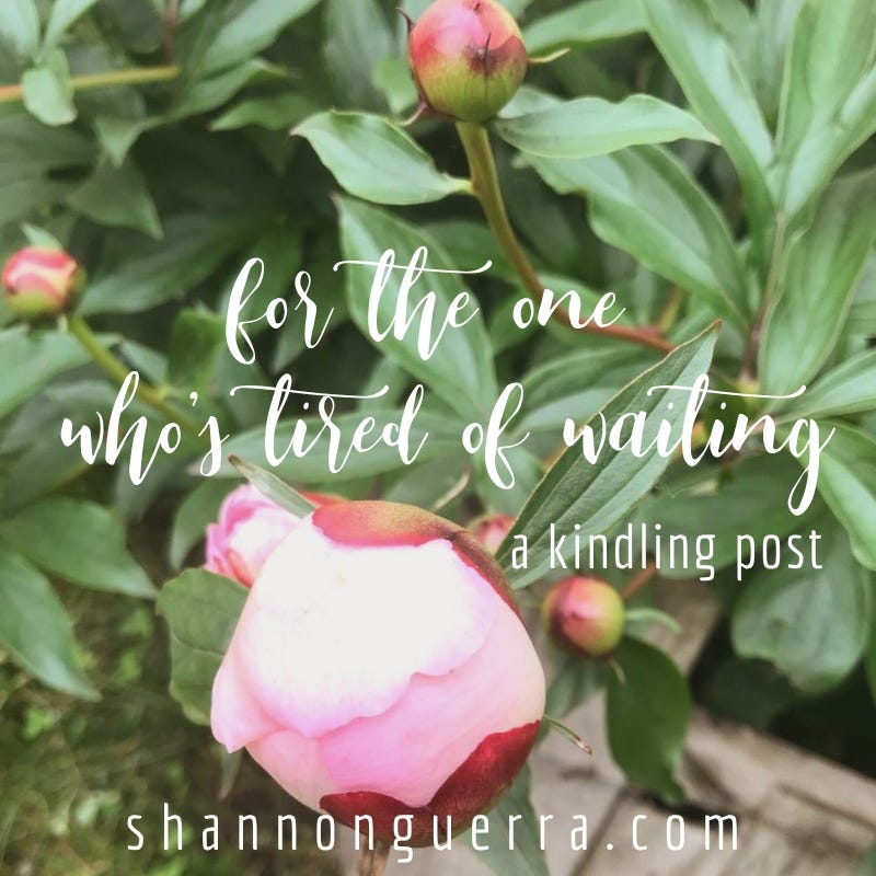 for the one who's tired of waiting: a kindling post by shannon guerra