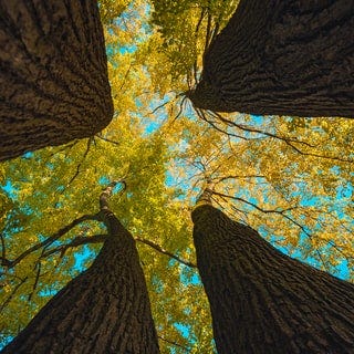 Unsplash Photo