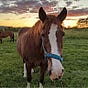 Jady Conroy's avatar