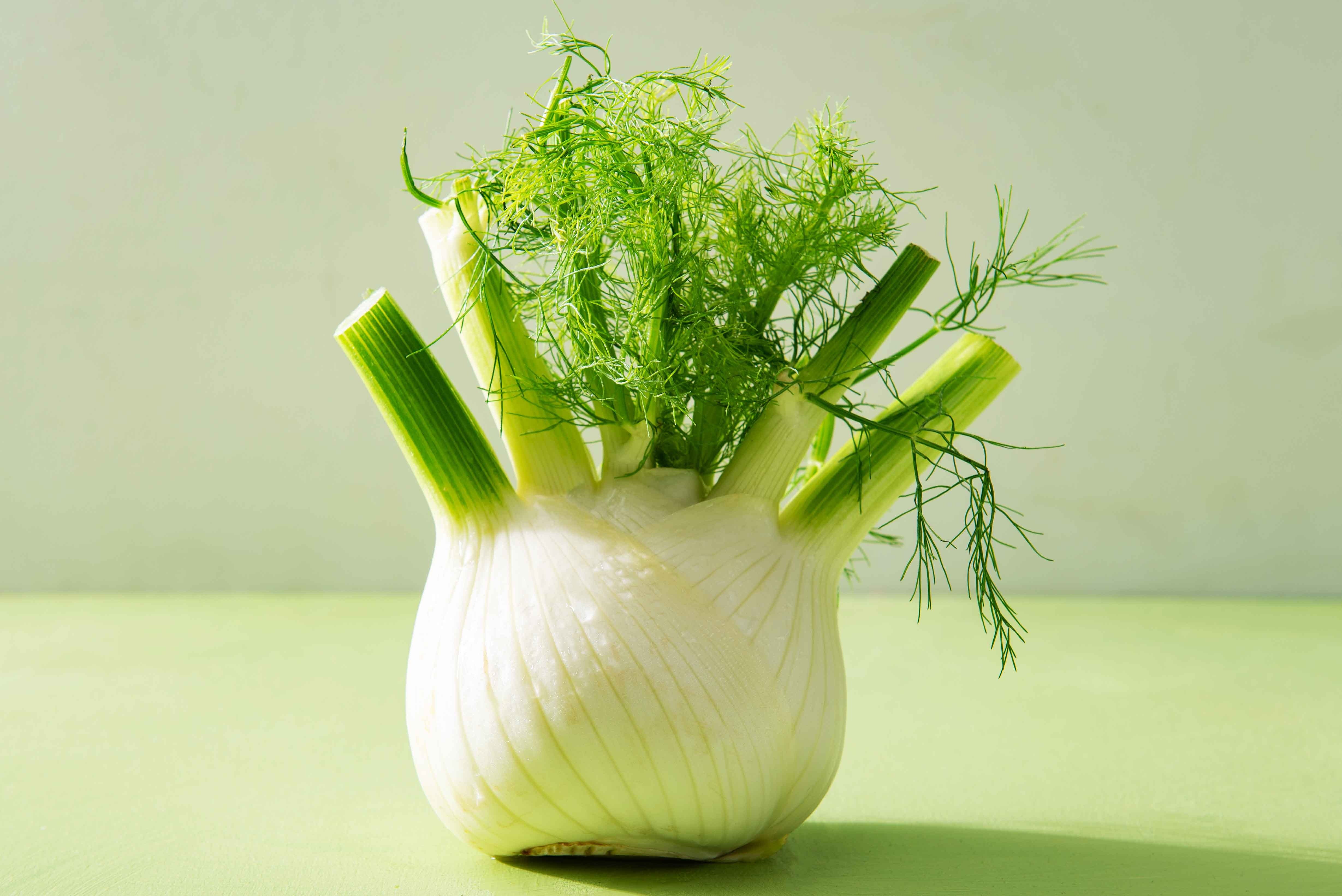 Venkel in de hoofdrol - Koken met Kennis