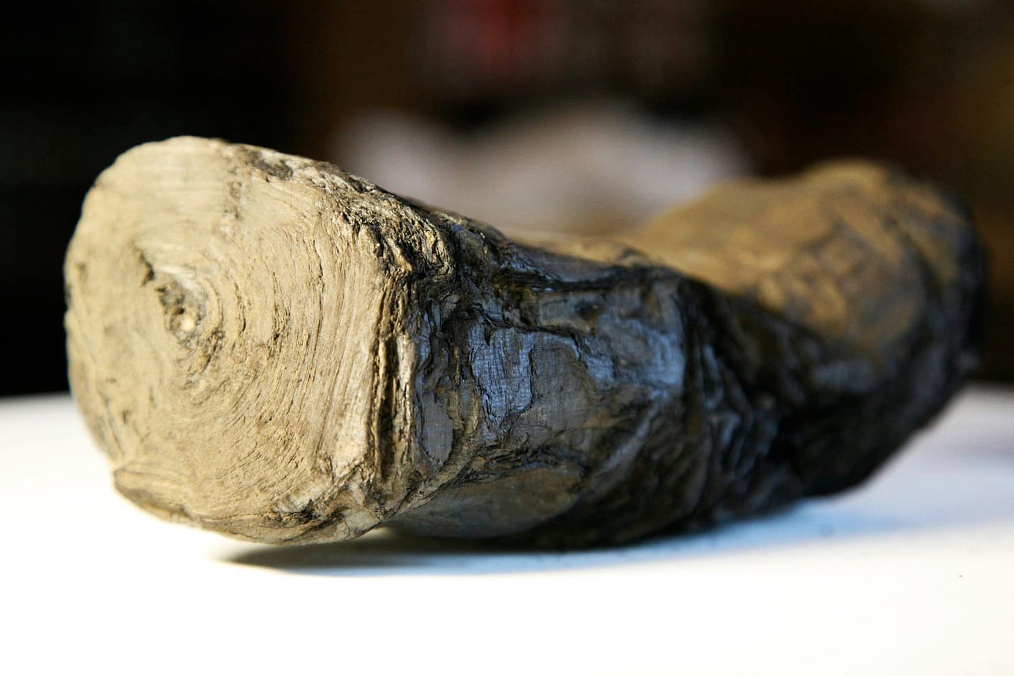 Secrets of ancient Herculaneum scroll deciphered by AI Secrets of ancient Herculaneum scroll deciphered by AI