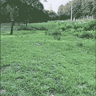 Sad News For Reckless Idiots! Tabs, Fri., May 3, 2024