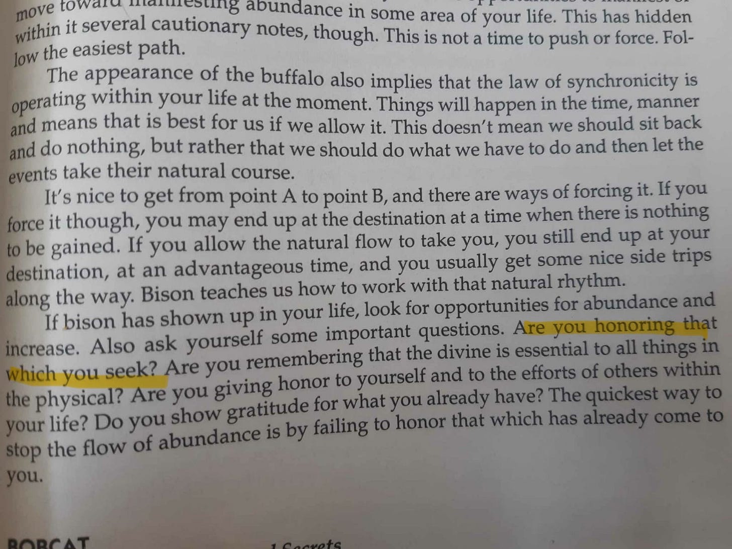 Page from the book Animal Speak with the words "Are you honoring that which you seek?" highlighted