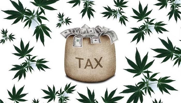 Why Is Taxation Related To Cannabis Businesses So Complicated? - Panacea  Payroll - Payroll, Human Resources and Workforce Management Solutions for  the Cannabis and Medical Medicinal Marijuana Industry